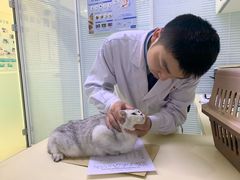 -全心全意连锁动物医院(加州店)