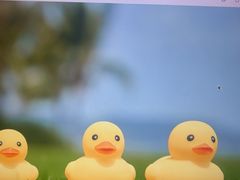 -三亚太阳湾柏悦酒店