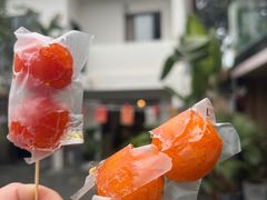 -云里小坐·小院里·团建·宴请·下午茶(三圣乡店)