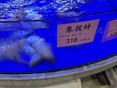 -骏丰酒楼(黄编店)