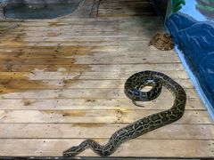 -石家庄市动物园