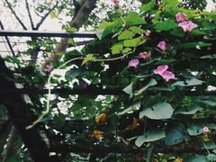 -四川大学(望江校区)