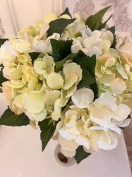 -茜尔维亚修身连锁(杨浦五角场店)