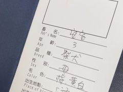 -申普宠物医院(总院)