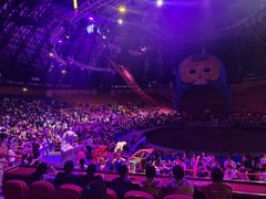 -俄罗斯国家大马戏团