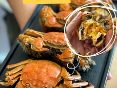 -蟹天蟹地农家菜·阳澄湖大闸蟹(浅水湾店)