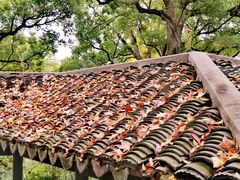 -惠山古镇·寄畅园