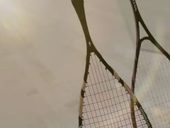 -健身专家Wellness Experts