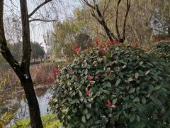 -武汉园博园(武汉自然博物馆)