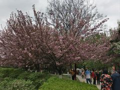 -西安青龙寺遗址景区