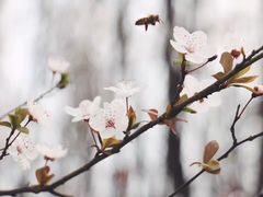 -白鹭湾湿地公园