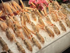-Mr.Fish鱼鲜生海鲜放题(高德置地冬广场店)