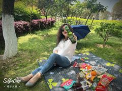 -铁山坪森林公园