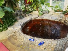 -中家鑫园温泉酒店鑫悦汤泉