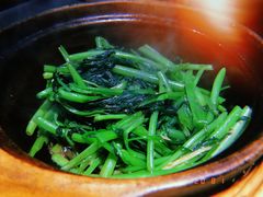 啫啫虾酱空心菜-熠盛粤味(永康路店)
