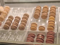 -Pierre Marcolini(德基广场店)