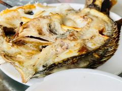 -石屏老字号4号包浆豆腐美食城(泼水广场店)