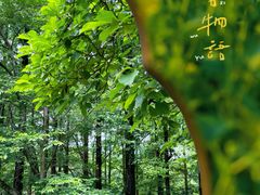 -杭州植物园