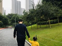 -龙头寺公园