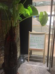-扎嘎形象设计