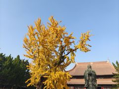-苏州文庙(姑苏区)