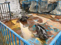 -华夏文旅海洋公园