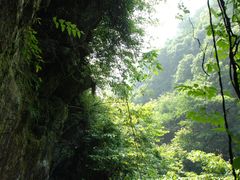 -石台牯牛降景区