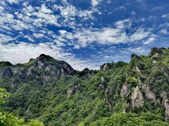 -王顺山国家森林公园