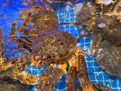 -驻海渔市(置信店)