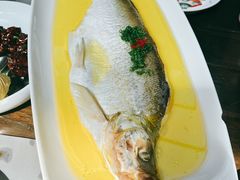 鸡汁大白条-穿越·外婆家(西溪天堂店)
