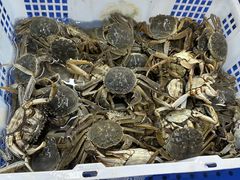 -春华海鲜城(广场西苑店)