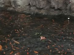 -森谷美食公园(杨行店)