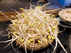 豆芽-美美老火锅(回龙湾店)