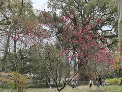 -杭州植物园