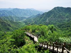 -大岭沟猕猴桃谷风景区