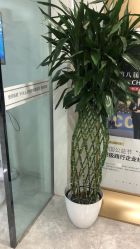 -悟空祛痘·诺奖技术专业店