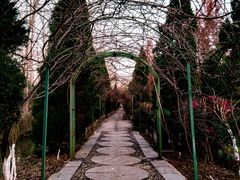 -合肥滨湖国家森林公园