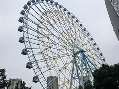 -弘阳·未来世界(弘阳广场店)