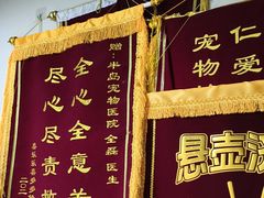 -半岛宠物医院24小时(白果林店)