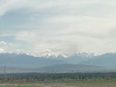 -苏氏牛肉面(机场店)