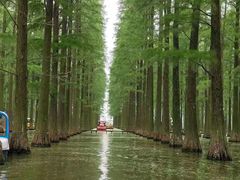 -渌洋湖湿地公园