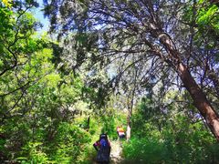 -阳台山自然风景区