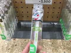 -line friends(明洞旗舰店)