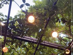 -花苑里咖啡(威远店)