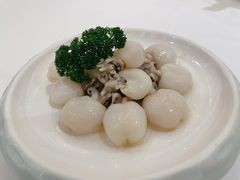 墨鱼仔-白天鹅宾馆-宏图府餐厅