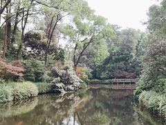 -南山植物园