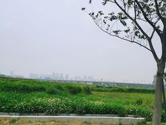 -光明小镇欢乐田园
