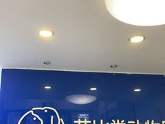 -芭比堂动物医院·心脏科·老年急重症·夜诊·吉雅分院
