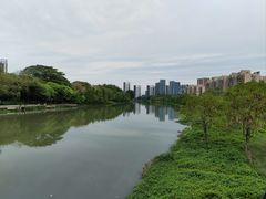 -怡海公园(桂城街道)