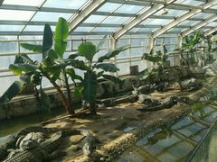 -石家庄市动物园